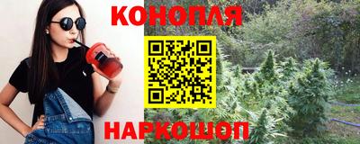 стафф Чебоксары