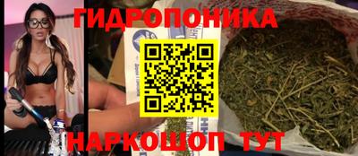 стафф Чебоксары
