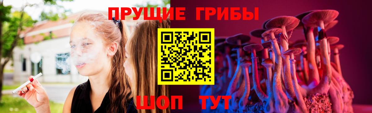 Псилоцибиновые грибы GOLDEN TEACHER Нововоронеж